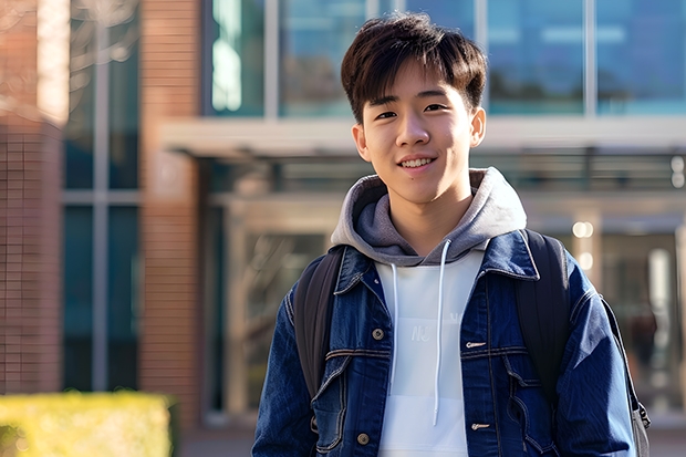 上海视觉艺术学院2023录取分数线 上海大学美术专业录取分数线