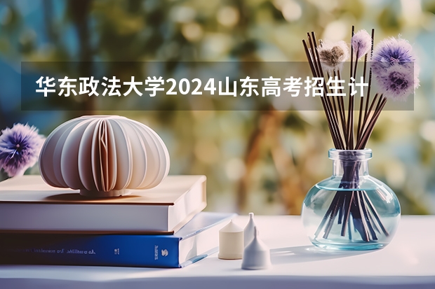 华东政法大学2024山东高考招生计划介绍