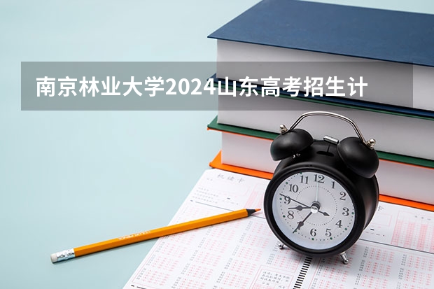 南京林业大学2024山东高考招生计划介绍
