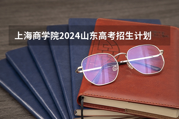 上海商学院2024山东高考招生计划介绍