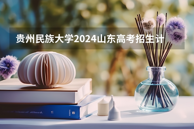 贵州民族大学2024山东高考招生计划介绍