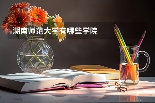 湖南师范大学有哪些学院