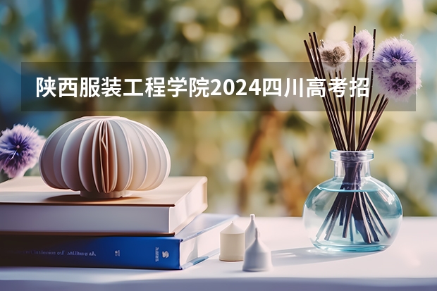 陕西服装工程学院2024四川高考招生计划介绍
