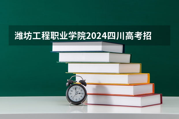 潍坊工程职业学院2024四川高考招生计划介绍