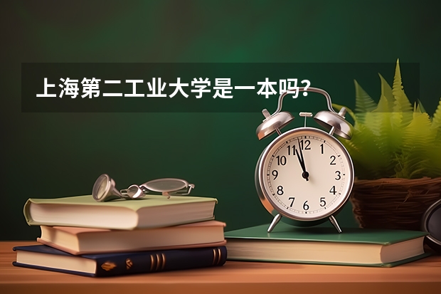 上海第二工业大学是一本吗？