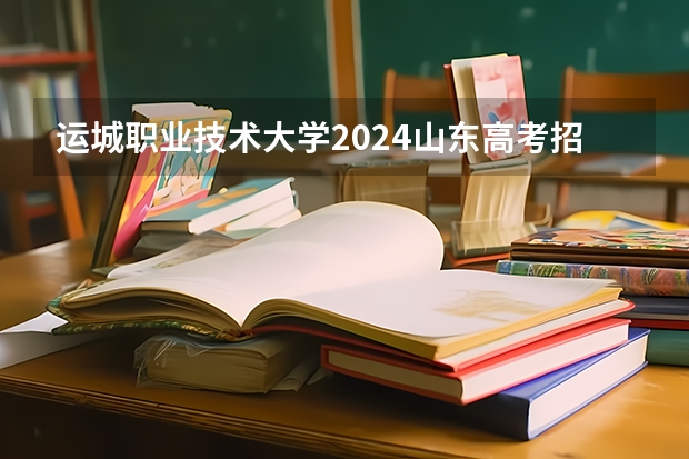 运城职业技术大学2024山东高考招生计划介绍