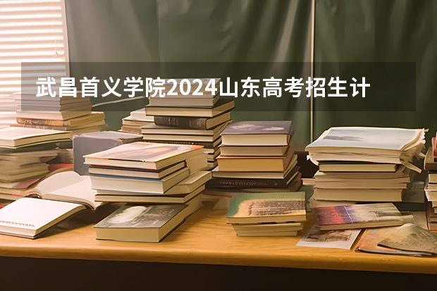 武昌首义学院2024山东高考招生计划介绍