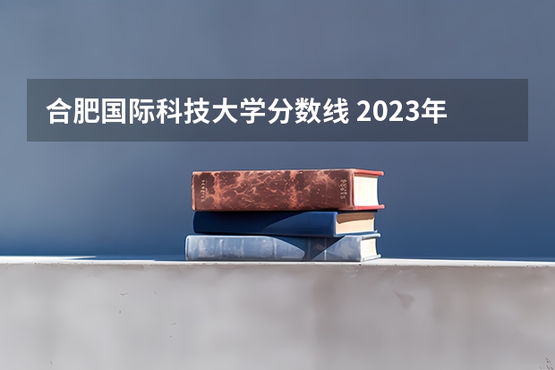 合肥国际科技大学分数线 2023年大学文科录取线