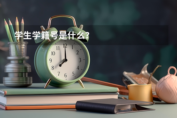 学生学籍号是什么？