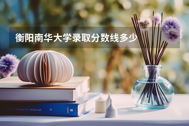 衡阳南华大学录取分数线多少