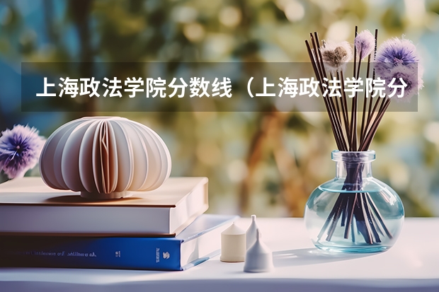 上海政法学院分数线（上海政法学院分数线）