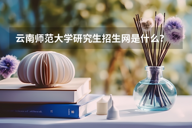 云南师范大学研究生招生网是什么？