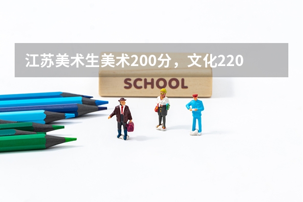 江苏美术生美术200分，文化220，能上什么学校？