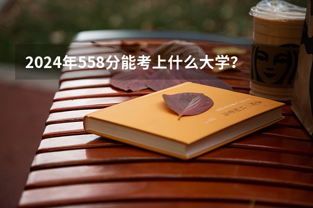2024年558分能考上什么大学?