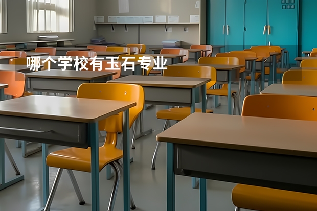 哪个学校有玉石专业