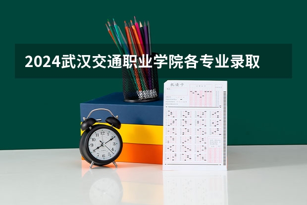 2024武汉交通职业学院各专业录取分数线（武汉交通职业学院）