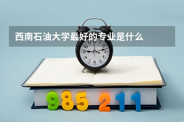 西南石油大学最好的专业是什么