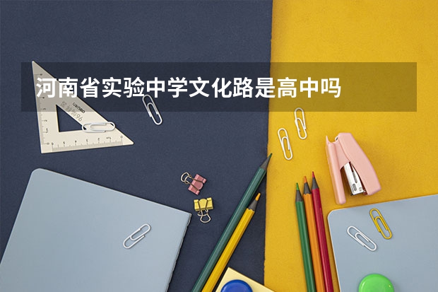 河南省实验中学文化路是高中吗
