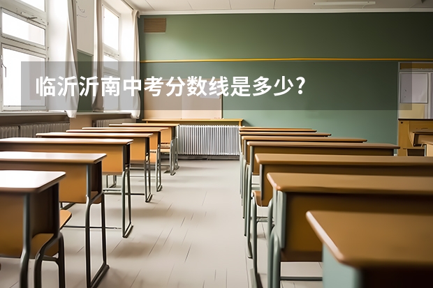 临沂沂南中考分数线是多少?
