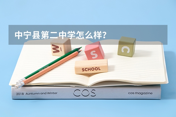 中宁县第二中学怎么样？