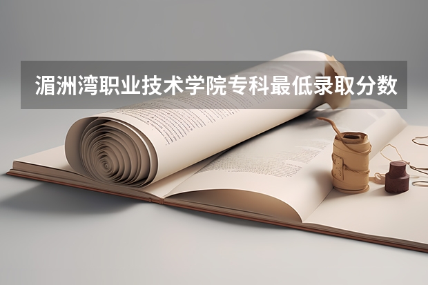 湄洲湾职业技术学院专科最低录取分数线是多少