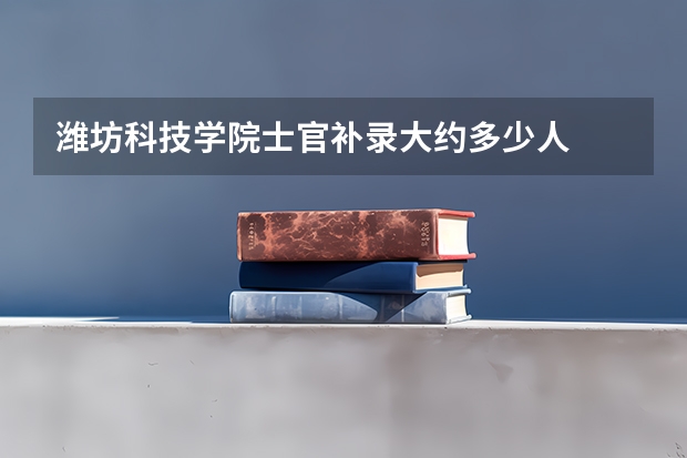 潍坊科技学院士官补录大约多少人