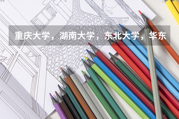 重庆大学,湖南大学,东北大学,华东师范大学,哪个学校的软件好