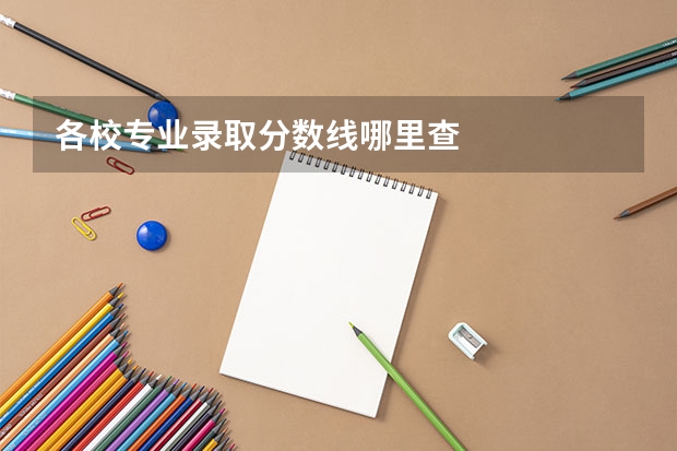 各校专业录取分数线哪里查