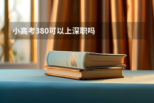 小高考380可以上深职吗