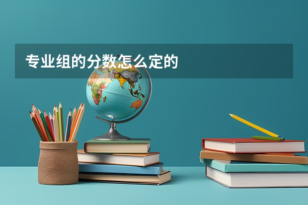 专业组的分数怎么定的