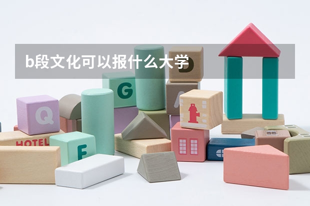b段文化可以报什么大学