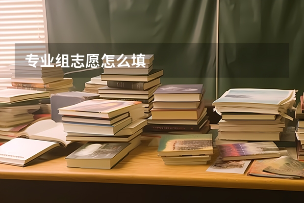 专业组志愿怎么填