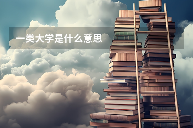 一类大学是什么意思
