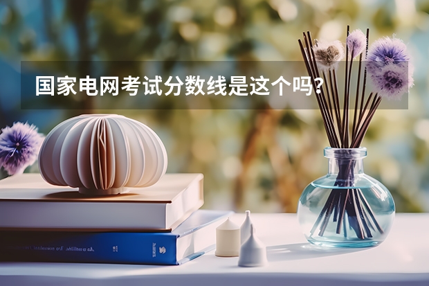 国家电网考试分数线是这个吗？