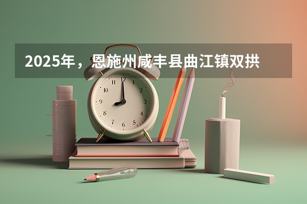 2025年，恩施州咸丰县曲江镇双拱桥村十丫口至忠堡界平村公路提档升级何时会进行招标？ 恩施州咸丰县曲江镇双拱桥村十丫口至忠堡界平村公路提档升级项目，2025年具体招标时间是怎样的？