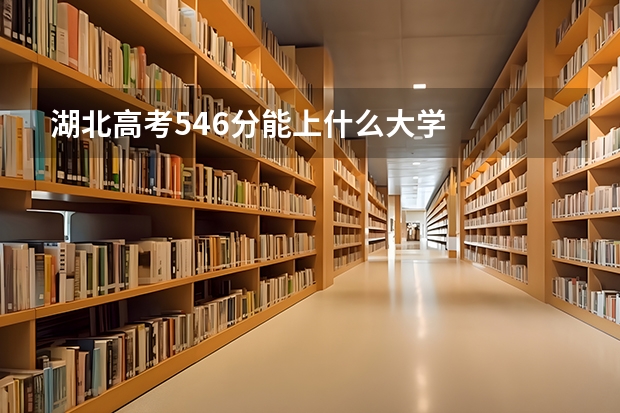 湖北高考546分能上什么大学