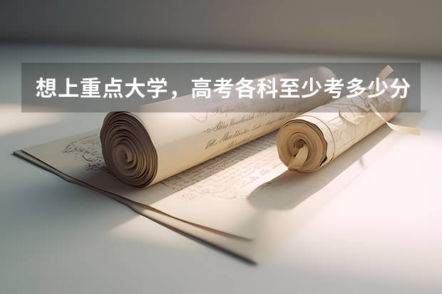 想上重点大学，高考各科至少考多少分才行
