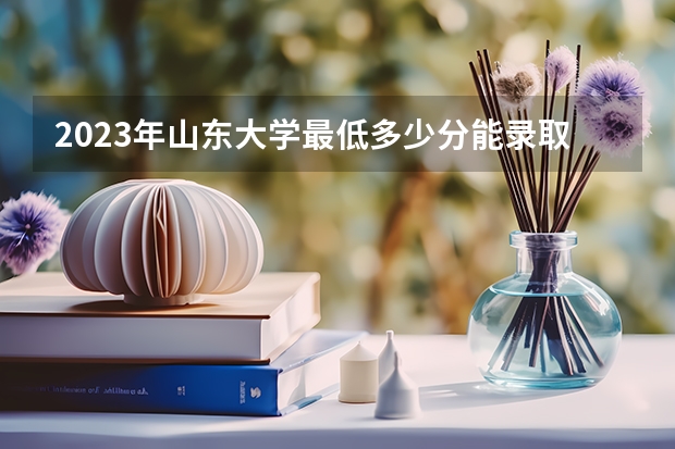 2023年山东大学最低多少分能录取 山东历年录取分数线是多少