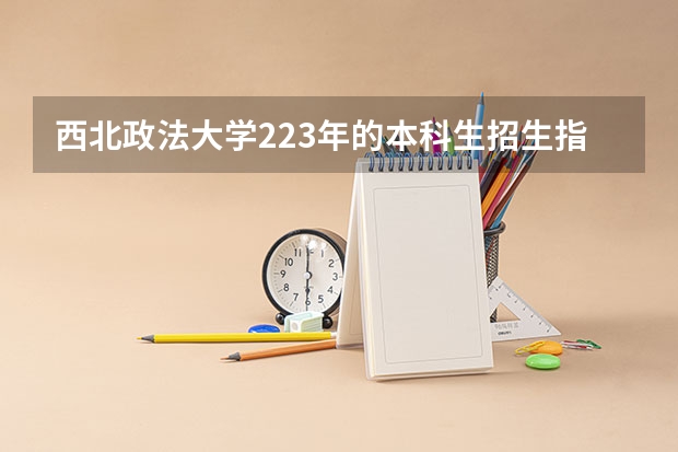 西北政法大学223年的本科生招生指标如何