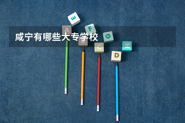 咸宁有哪些大专学校