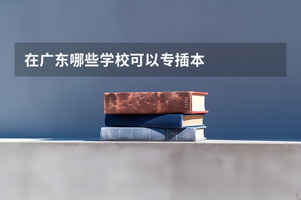 在广东哪些学校可以专插本