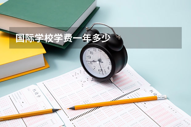 国际学校学费一年多少