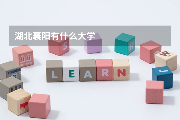 湖北襄阳有什么大学