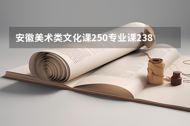 安徽美术类文化课250专业课238能上什么学校？
