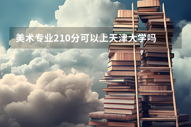 美术专业210分可以上天津大学吗