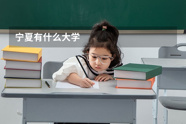 宁夏有什么大学