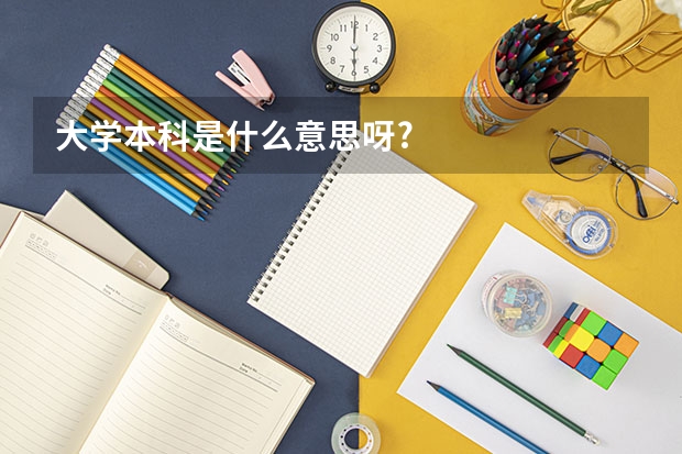 大学本科是什么意思呀?