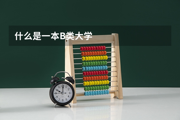什么是一本B类大学