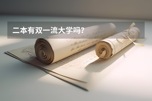 二本有双一流大学吗？