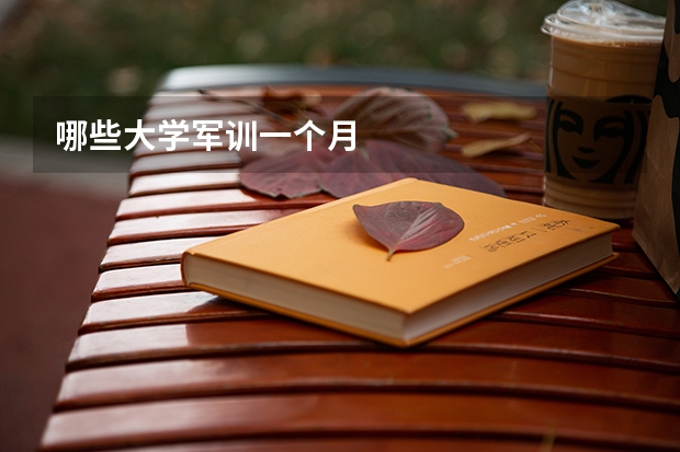 哪些大学军训一个月